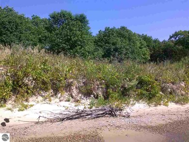 NA E Michigan Ave, Au Gres, MI 48703 - photo 5