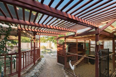 Backyard_Chicken_Coops