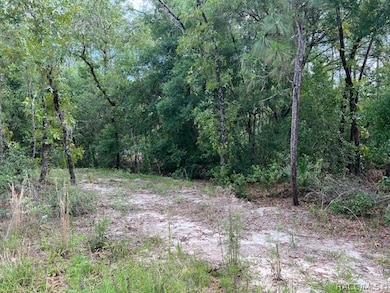 1108 E Van Gogh Ct, Hernando, FL 34442 - photo 4