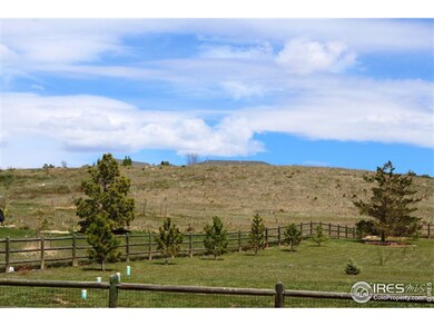 Looking North - walkout lot with total Southern ex