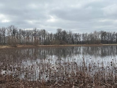 2052 Busby Denton Rd, Robards, KY 42452 - photo 7