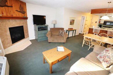 164 Deer Park Dr unit 161 B, Woodstock, NH 03262 - photo 2