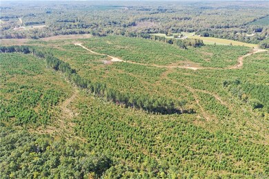 6801 (not Assigned) Grand Brooks Rd, Livingston, VA 22551 - photo 3