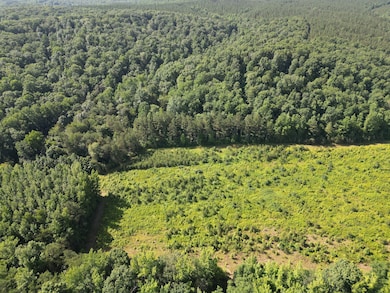 0 Brushy Rd unit RTC2923157, Centerville, TN 37033 - photo 4