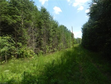 2136 S Chapel Hill Church Rd, Denton, NC 27239 - photo 2