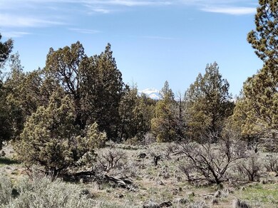 2409 NW Lexie Ln, Redmond, OR 97756 - photo 3