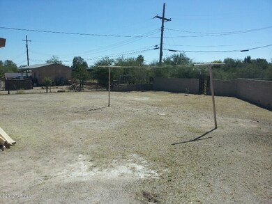 back yard