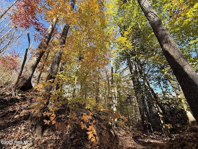 Lot 2 Russell Union Rd, Manson, NC 27553 - photo 6