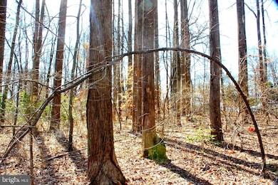 0 Scott Cir unit MDSM2027260, Mechanicsville, MD 20659 - photo 4