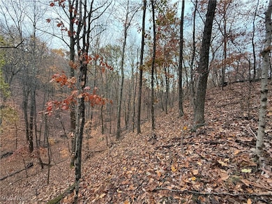 2400 Irish Ridge Rd, Philo, OH 43771 - photo 4