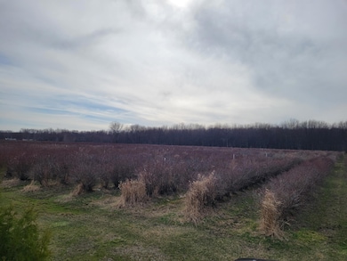 V/L 72nd St, Covert, MI 49043 - photo 6