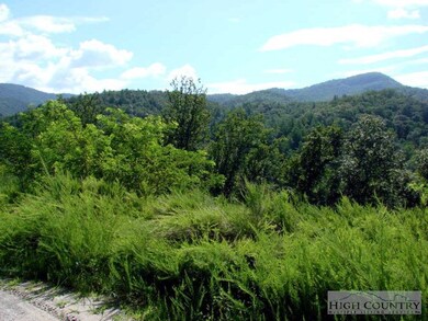 000 Globe Rd, Blowing Rock, NC 28605 - photo 4