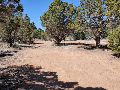 3406 S Comstock Rd unit PARCEL 3, LOT 12, BL, Cedar City, UT 84720 - photo 7