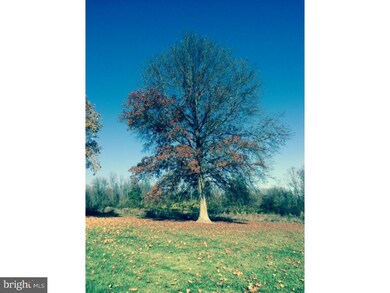 61 Park Rd, Ottsville, PA 18942 - photo 4