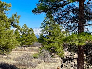 21 Eiffel Ct, Pagosa Springs, CO 81147 - photo 4