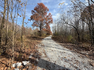 12444 E Lark Rd, Nevins Township, IN 47874 - photo 7