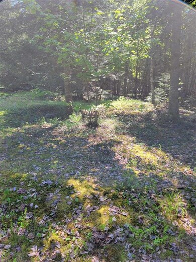 0 Mountain View Ln, Colebrook, NH 03576 - photo 4