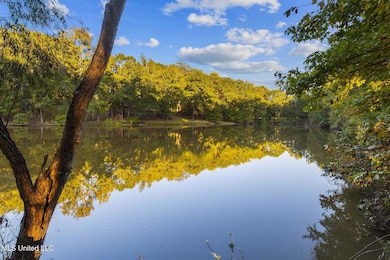 19 Devonshire Way, Flora, MS 39071 - photo 6