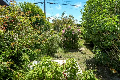 28 Back Yard