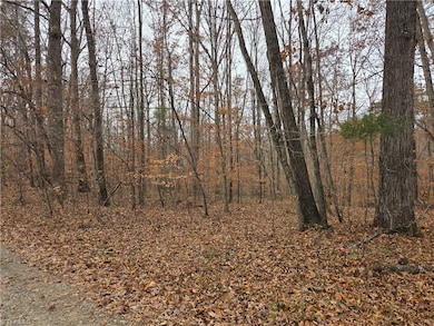 4901 & 4927 Montford Rd, Pfafftown, NC 27040 - photo 5