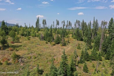 DJI_0278