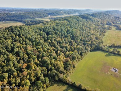 517 Paint Rock Valley Road