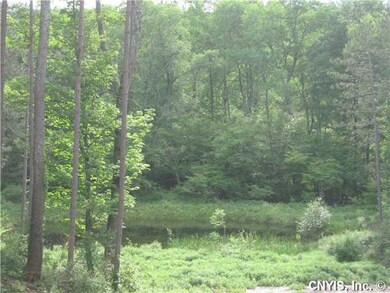 Land/Lot Drive to pond on property