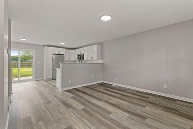 2025-6-19 314 Willow Run Ln 013
