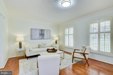 12020 Rosiers Branch Dr, Herndon, VA 20170 - photo 4