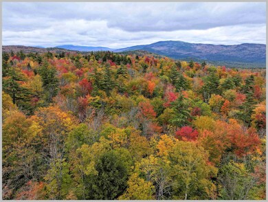 73 Fraser Rd, Wentworth, NH 03282 - photo 5