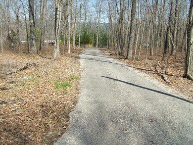 12 S and T Rd, Dunlap, TN 37327 - photo 6