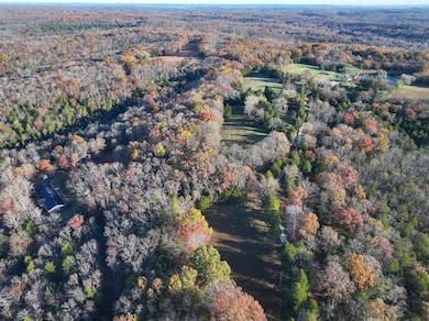 000 Scanlon Dr, de Soto, MO 63020 - photo 7