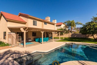 Pool & backyard