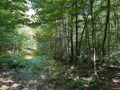 00 Mcmillan Rd, Whitingham, VT 05342 - photo 6