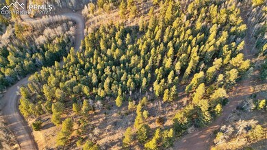 1289 Yorktown Rd, Cripple Creek, CO 80813 - photo 7