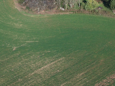 DJI_20241121152401_0035_D_ND16-Enhanced-