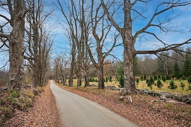 10 Maple St, Plainfield, MA 01070 - photo 5