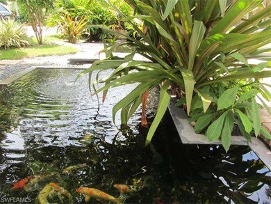 Koi Pond
