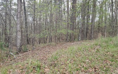 Additional View