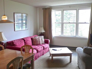 28 Packard Rd unit 302, Waterville Valley, NH 03215 - photo 2