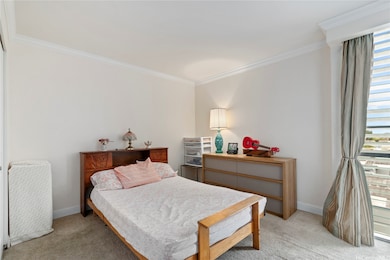 Primary bedroom floor to ceiling jalousie window