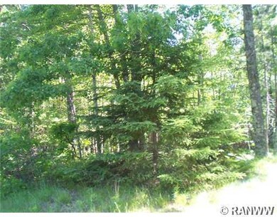 Lot 7 Mallard Lake Rd, Webster, WI 54893 - photo 5