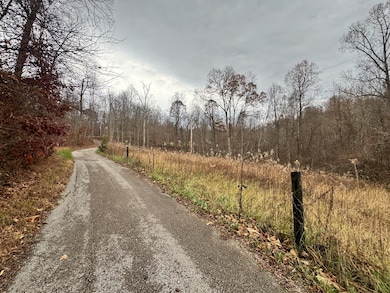 7099 Furnace Rd, Stanton, KY 40380 - photo 2