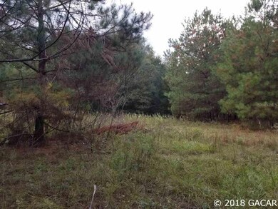 479 SW Manning Place, Lake City, FL 32024 - photo 3