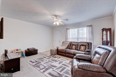 26319 Gibson Ln, Ruther Glen, VA 22546 - photo 5