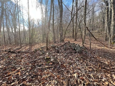 999 Juniper Rd, Clyde, NC 28721 - photo 2