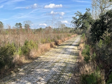 0 Easler Hwy unit 2528901, Greeleyville, SC 29056 - photo 7