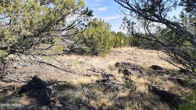 1799 Scott Place, Show Low, AZ 85901 - photo 2