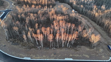 3907 Merganser Dr, Hermantown, MN 55811 - photo 6