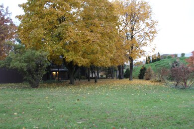 IMG_4753